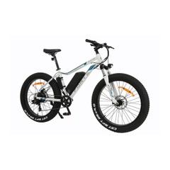 Battery bike Forte RAPID, 500 W, wheel 26, frame 18, White