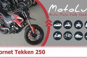 Hornet Tekken 250