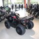 Квадроцикл Loncin Xwolf 200, черный, 2023