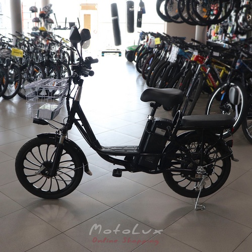 Electric bicycle Partner Aida, 350 W, black