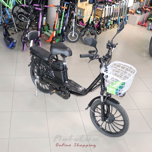 Electric bicycle Partner Aida, 350 W, black