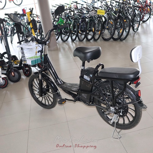 Electric bicycle Partner Aida, 350 W, black