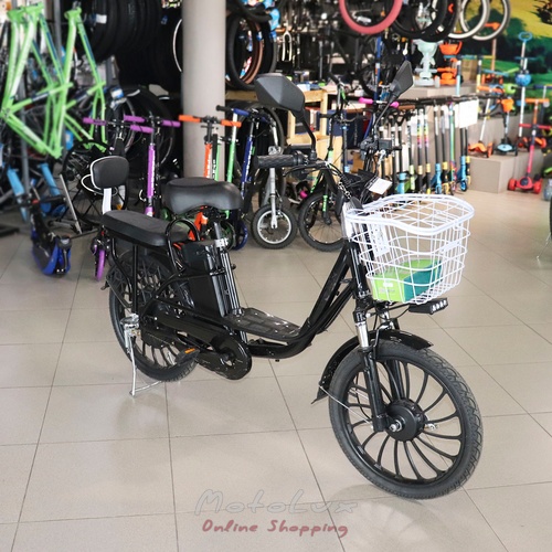 Electric bicycle Partner Aida, 350 W, black