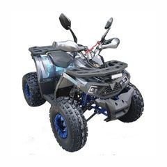 Utility ATV Forte Shark II 150, gray and blue, 2026