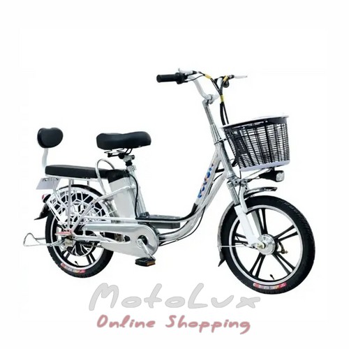 GoFun electric bicycle, 500 W, silver