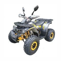 Utility ATV Forte Shark II 150, gray and yellow, 2026