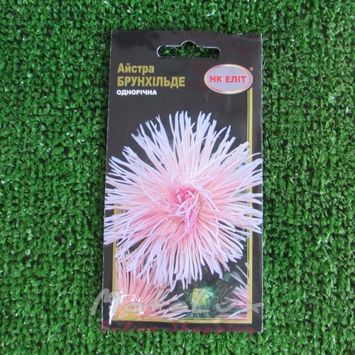 Seeds Flowers Astra Brunhild 0.3g