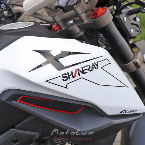 Мотоцикл ендуро Shineray X-Trail XY250GY-9A