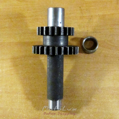 Reverse shaft assembly for the 101-2 R190 motor block