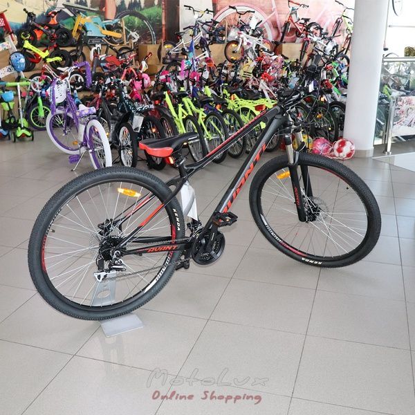 Horsk&yacute; bicykel Avanti Canyon ER, r&aacute;m 17, koles&aacute; 29, čierna a červen&aacute;, 2021