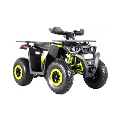 Quad bike Spark SP200 2, black with green