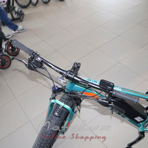 Battery bike Forte RAPID, 500 W, wheel 26, frame 18, Green