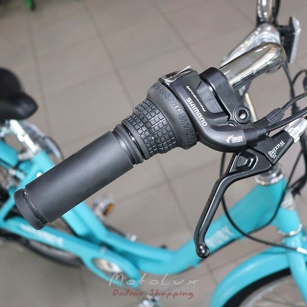 Electric bicycle 26 Dorozhnik Ruby AM, frame 17, 500W, 48V