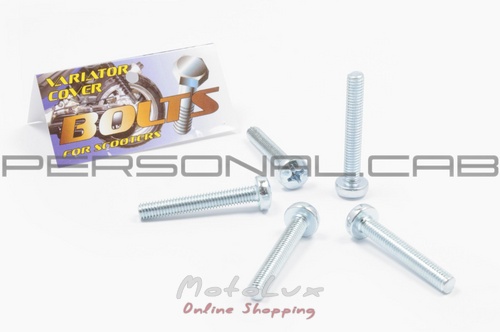 CVT cover bolts Honda Tact 16/24/30, cross recess, 5 pcs