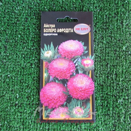 Seeds Flowers Astra Bolero Aphrodite 0.3g