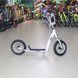 Scooter iTrike SR 2 047 G, teenager, manual brake, gray