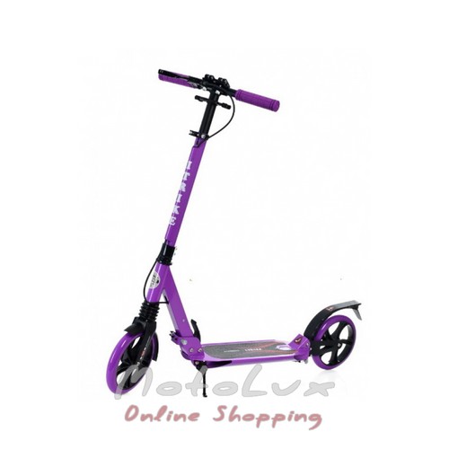Adult scooter iTrike SR 2 018 10 V, violet