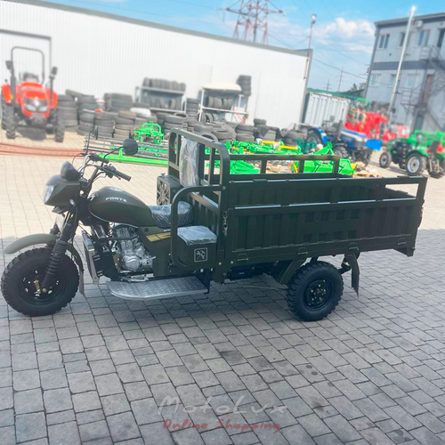 Cargo tricycle FORTE ATV250ZH-T, green