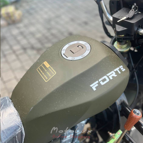 Грузовой трицикл FORTE ATV250ZH-T, зелёный