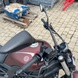 Road motorcycle Benelli 502C ABS On-Road, brown, 2024