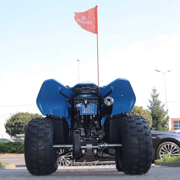 Квадроцикл дитячий CFORCE 110, синій