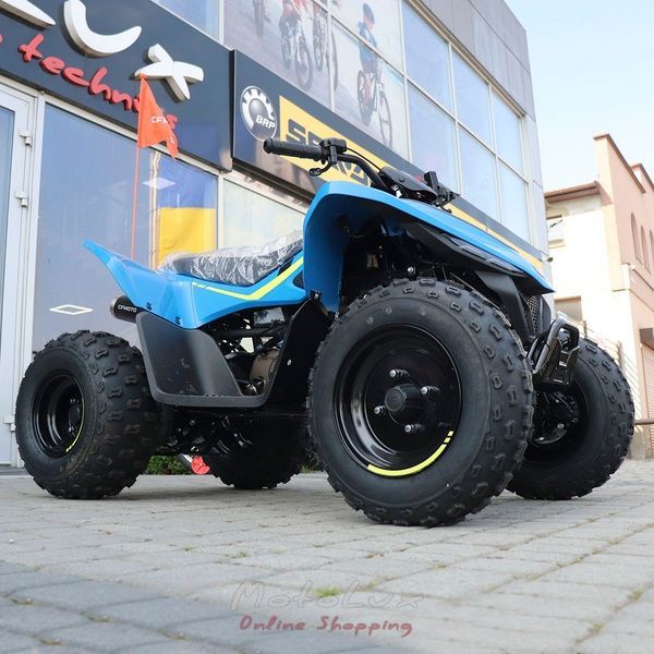 Квадроцикл дитячий CFORCE 110, синій