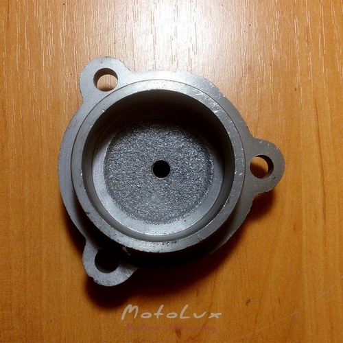 Shaft cover of differential BL-120 for the motor-tractor