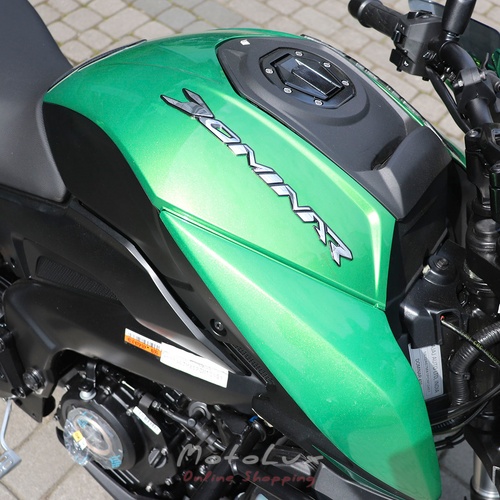 Motorcycle Bajaj Dominar D400, green, 2024