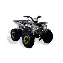 Petrol quad bike Forte Hunter 125, 8 hp, white with light green