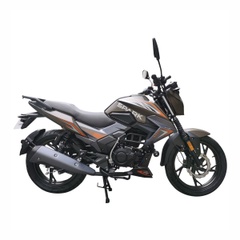 Motocykel Spark SP250R 32, šedá