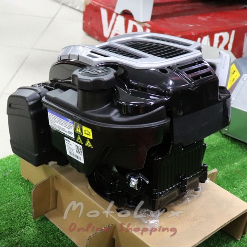 Briggs & Stratton 675 EXi engine, 5.5 HP