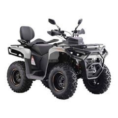 Утилитарный квадроцикл Asix Gladiator 300, серый