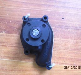 Water pump of engine DTZ 504