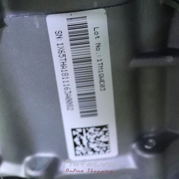 Двигун MTD ThorX 50/6, 6 к.с.