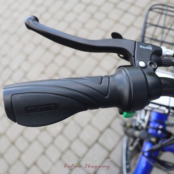 Electric bicycle Skybike 3 Cycl, blue