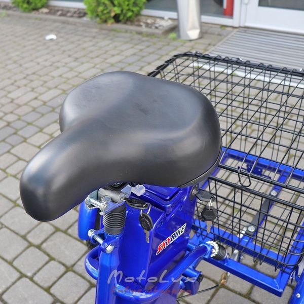Electric bicycle Skybike 3 Cycl, blue