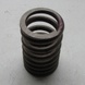 Valve spring large