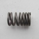 Valve spring large