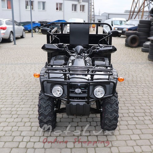 Квадроцикл вантажний Forte ATV 250BS T, чорний