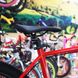 Mountain bike Cannondale Trail 5, wheel 29, frame XL, 2021, red