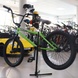 Bicycle 20 Stolen Casino 20.25 2021 Gang Green