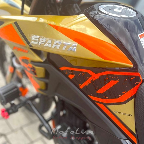 Enduro motorcycle Sparta SD300, black and gold, 2024