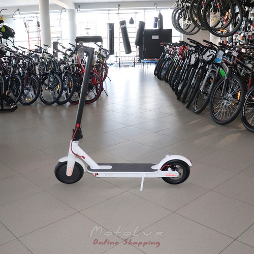 Bluetooth electric scooter TTG F6, 36V, 6.6AH SM, white