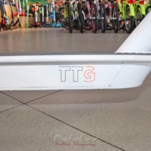 Bluetooth electric scooter TTG F6, 36V, 6.6AH SM, white