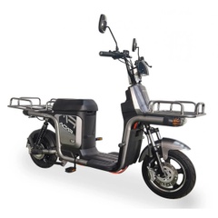 Two-wheel electric bicycle Fada Flit II Cargo, 500W, silver