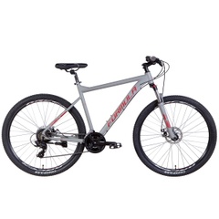 Mountain bike AL Formula F-1 AM DD, wheel 29, frame 21, gray, 2022