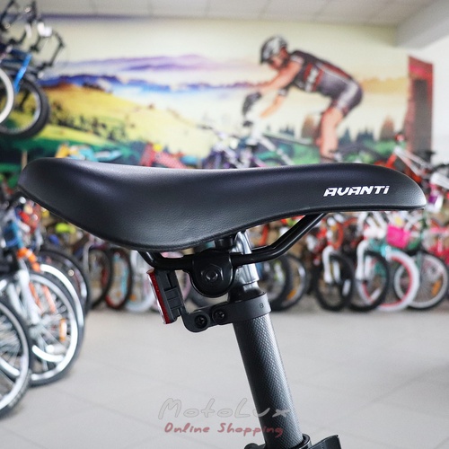 Горный велосипед 29ER Avanti Sprinter, рама 21, black n gray n blue, 2021