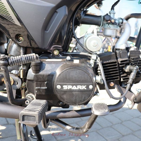 Motorcycle Spark SP125C-4C