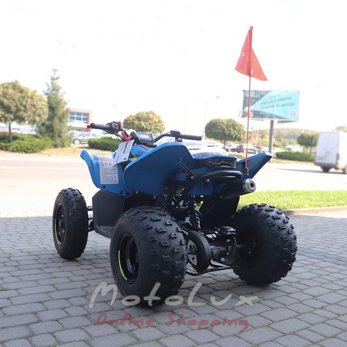 Children's quad bike CFORCE 110, blue