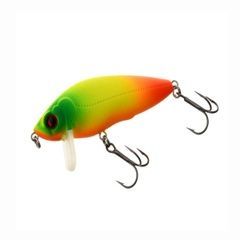 , Multicolored